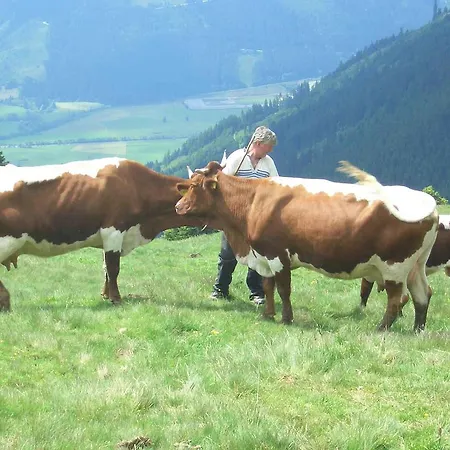 Pfaffenreitherhof * Uttendorf